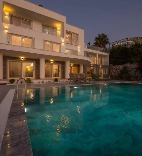 别墅 Front Super Boss 2