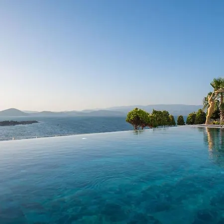 Willa Front Super Boss 2 *